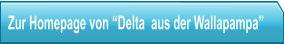 Zur Homepage von Delta  aus der Wallapampa