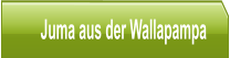 Juma aus der Wallapampa